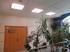 Фитосветильник светодиодный ECOLED-44-HT-418 Fito IP20